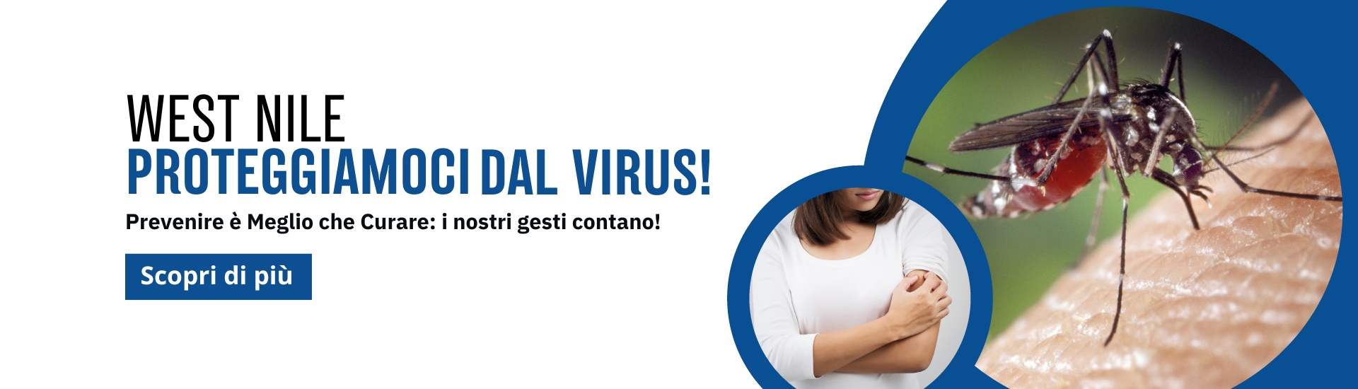 <p>West Nile Virus</p>